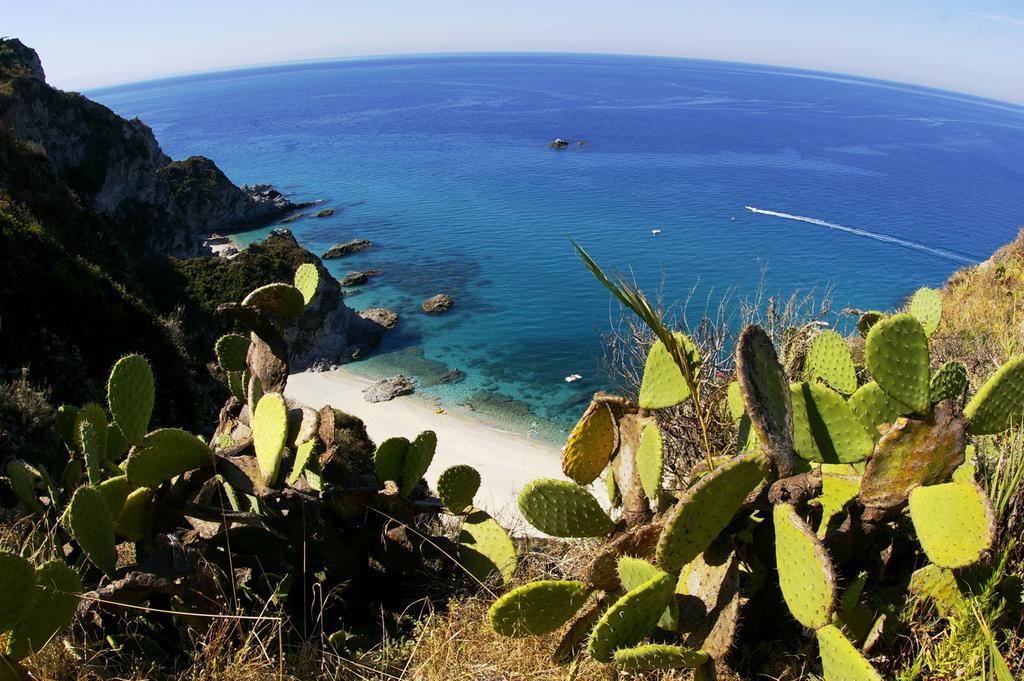 Hotel L'Ancora Capo Vaticano Zewnętrze zdjęcie